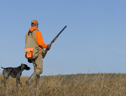 Liability Insurance for your Guide or Outfitter Business