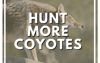 Hunt More Coyotes over a pictuer of a coyote