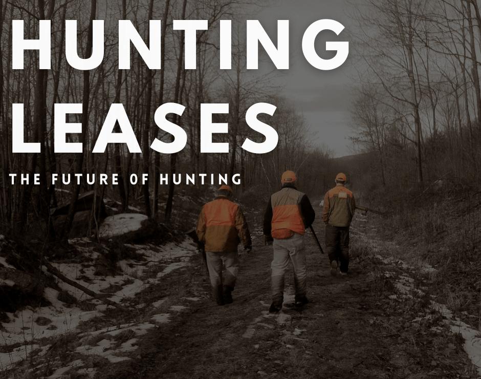hunting lease