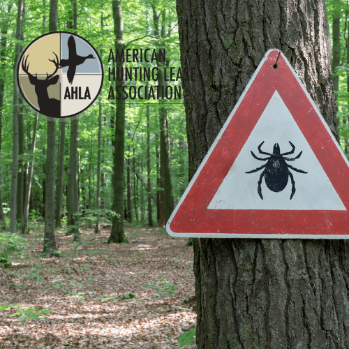 Ticks: The Worse Thing About Spending Time Outdoors