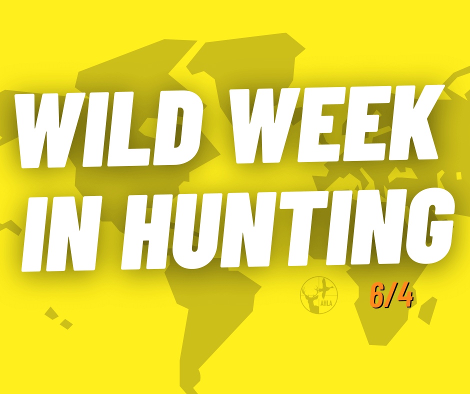 Wild Week In Hunting – 6/4