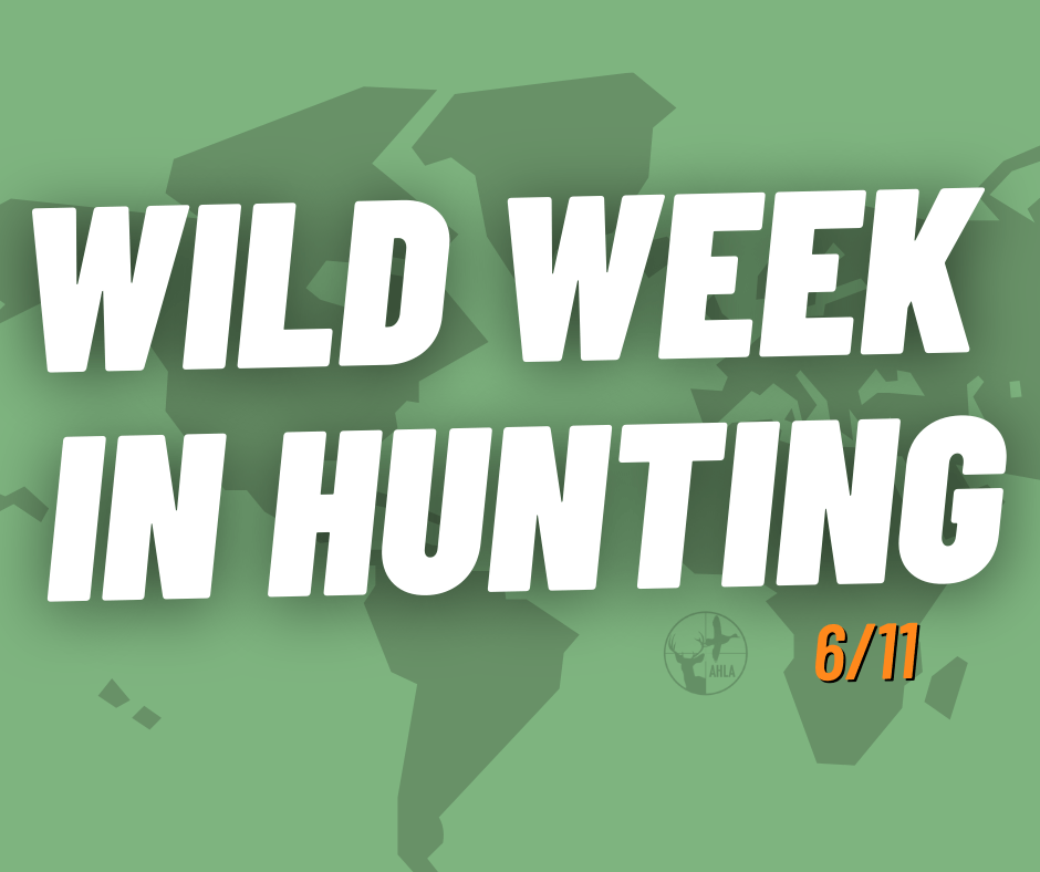 Wild Week in Hunting – 6/11