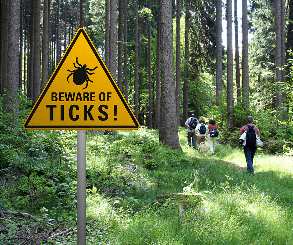 Ticks: The Worst Thing About Spending Time Outdoors