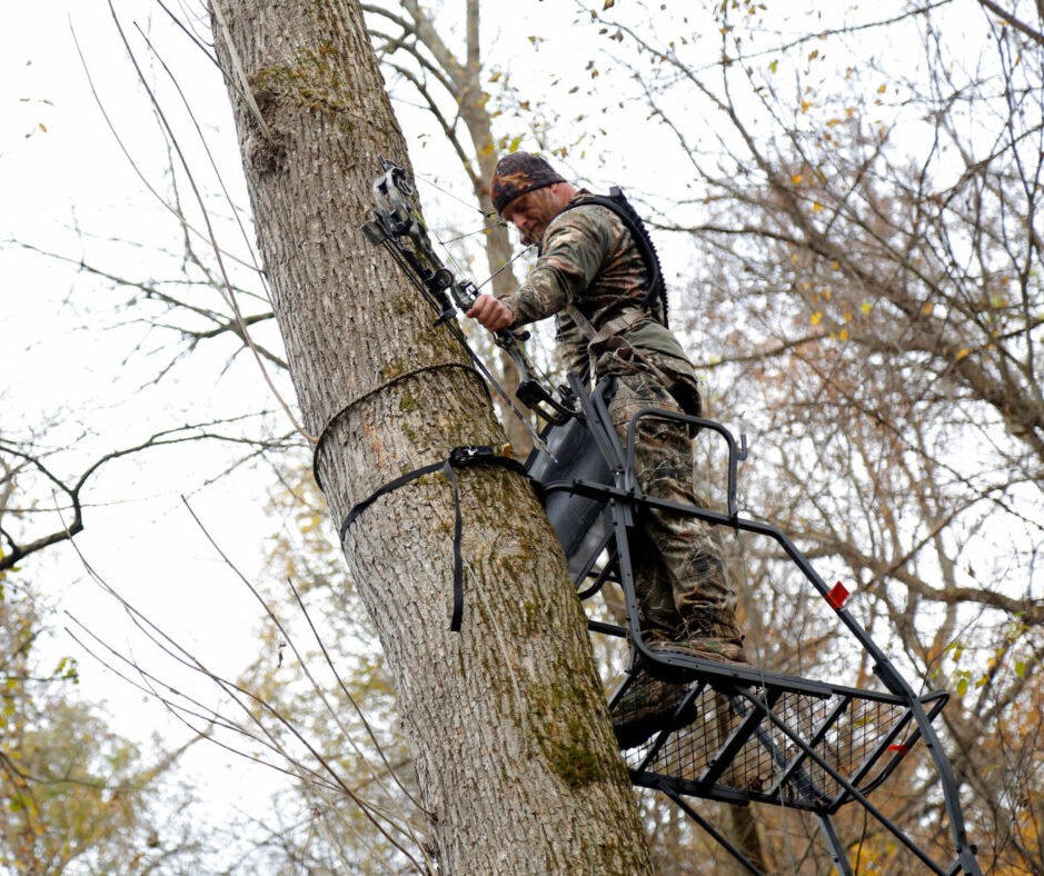 Are You Pulling Your Tree Stands for Inspection?