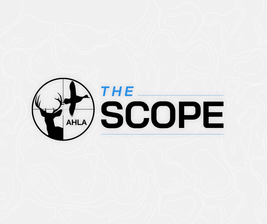 The Scope – May 2022