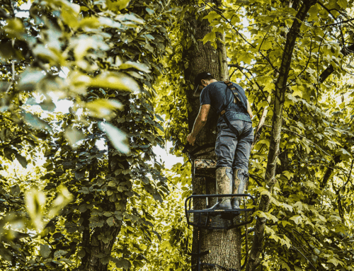 5 Ways To Increase Your Tree Stand Safety While Hunting From A Tree