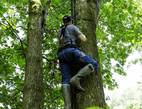 Hunting Accidents that Could Happen on Hunting Land and How to Prevent Them