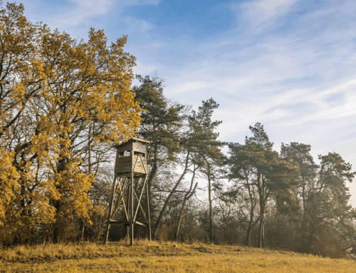 The Importance of a Hunting Lease Agreement