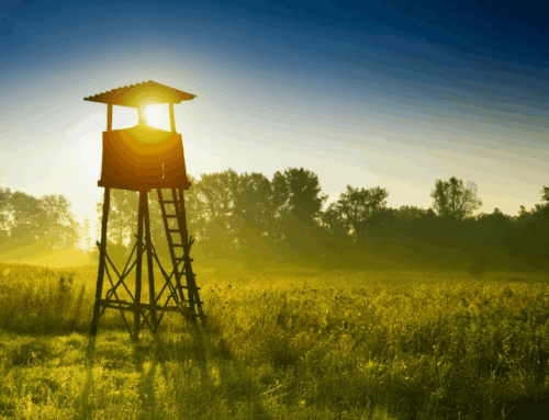 Ensuring the Safety of Guests on Your Property
