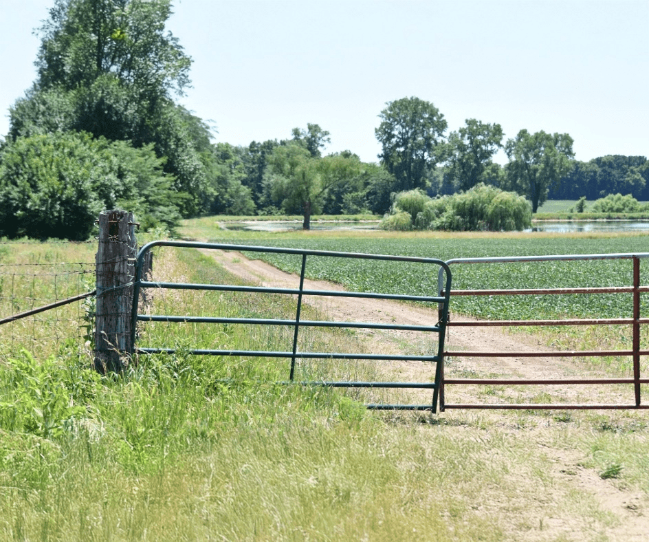 vacant land gate and pond 944×788