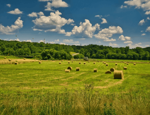 How Vacant Land Can Serve as an Excellent Passive Investment