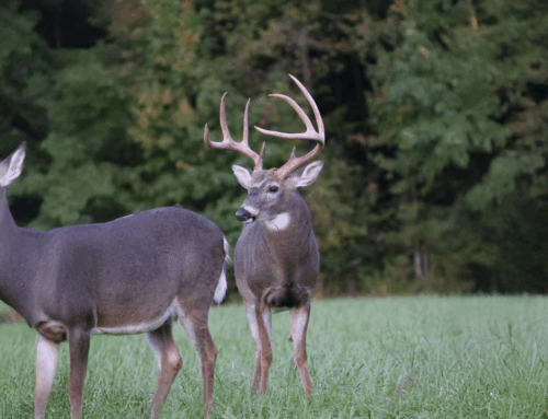 I Want to Make Money by Leasing Access to Hunters, But I’m Afraid of Being Sued If They Get Hurt.